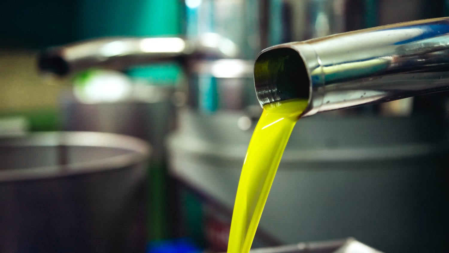 Andalucía lidera las exportaciones agroalimentarias en España hasta febrero de 2026 y supera los 3.000 millones de euros