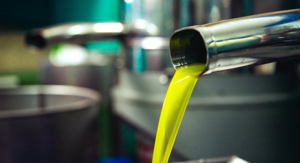 Andalucía lidera las exportaciones agroalimentarias en España hasta febrero de 2026 y supera los 3.000 millones de euros