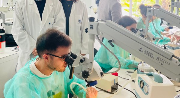 El Regional de Málaga refuerza a los EIR con un curso de disección de hueso temporal
