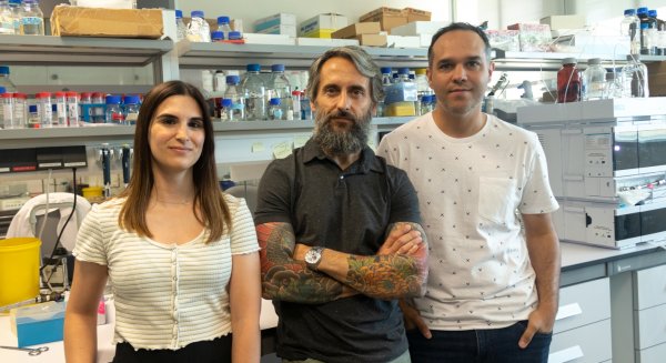 Investigadores demuestran que ciertas moléculas bacterianas aumentan el crecimiento de las plantas