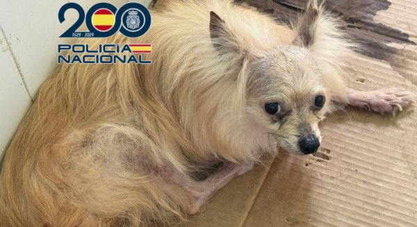 La Policía Nacional localiza un criadero de animales en Almayate y detiene a dos personas por maltrato animal
