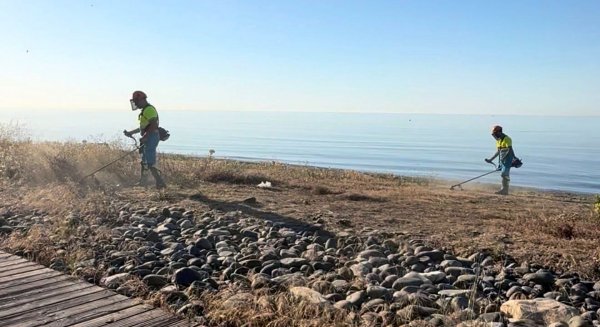 El Ayuntamiento de Estepona realiza una campaña de desbroce y limpieza en los más de treinta tramos de corredor litoral