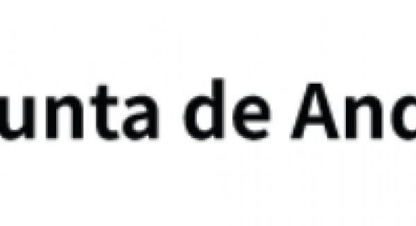 El BOJA publica el decreto que unifica en una fase el procedimiento de valoración de la dependencia