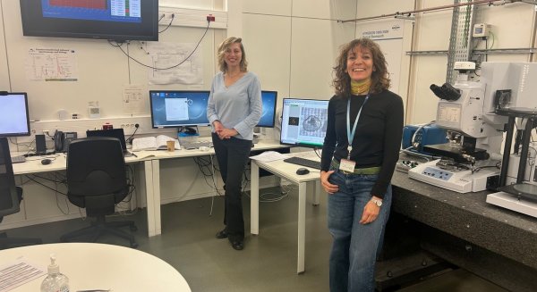 Investigadores progresan en el estudio del glioblastoma en el laboratorio utilizando materiales de vanguardia