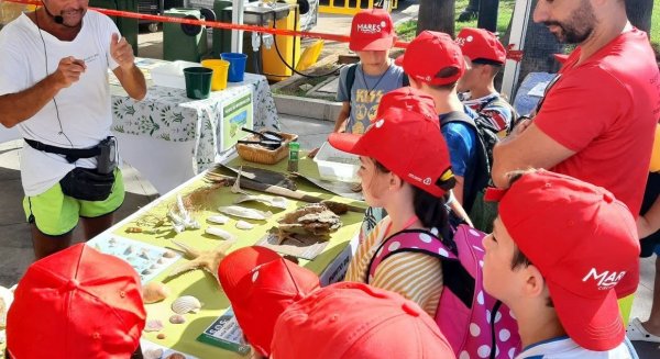 El programa ‘Mijas Reforesta’, de plantación de árboles y conservación costera, obtiene el Primer Premio Internacional Bandera Azul 2026