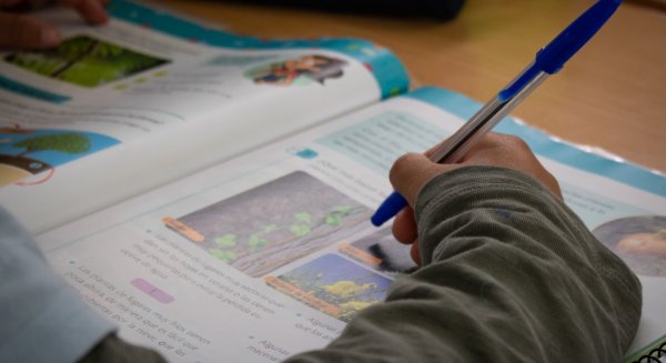 Torremolinos minimiza el absentismo escolar un 16% gracias al proyecto ‘Absentismo Cero’ 