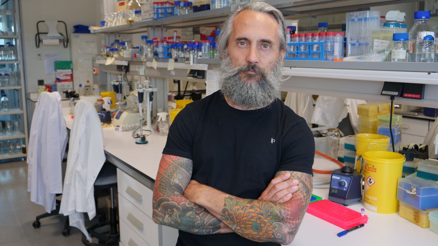 Científicos de la UMA descubren un mecanismo para debilitar una bacteria causante de intoxicaciones alimentarias