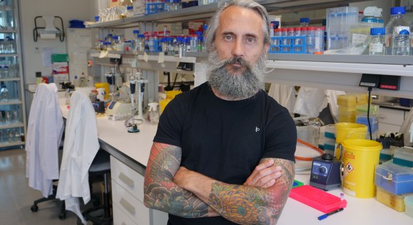 Científicos de la UMA descubren un mecanismo para debilitar una bacteria causante de intoxicaciones alimentarias