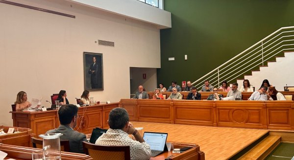 Torremolinos insta al Gobierno a tomar medidas para resolver retrasos y saturación de la línea C-1 del Cercanías