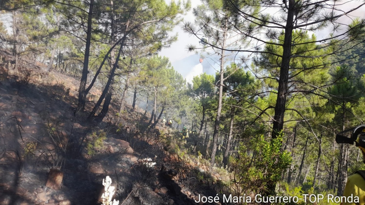 Adelante Andalucía exige que Sierra Bermeja sea Parque Nacional y mantener la contratación del INFOCA