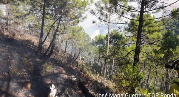 Adelante Andalucía exige que Sierra Bermeja sea Parque Nacional y mantener la contratación del INFOCA