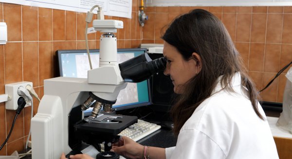 Científicos de la UMA consiguen mejorar la eficacia analgésica de la morfina