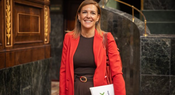 Vox Málaga solicita al Gobierno una fecha para que el AVE Málaga-Madrid recupere “de una vez” la normalidad