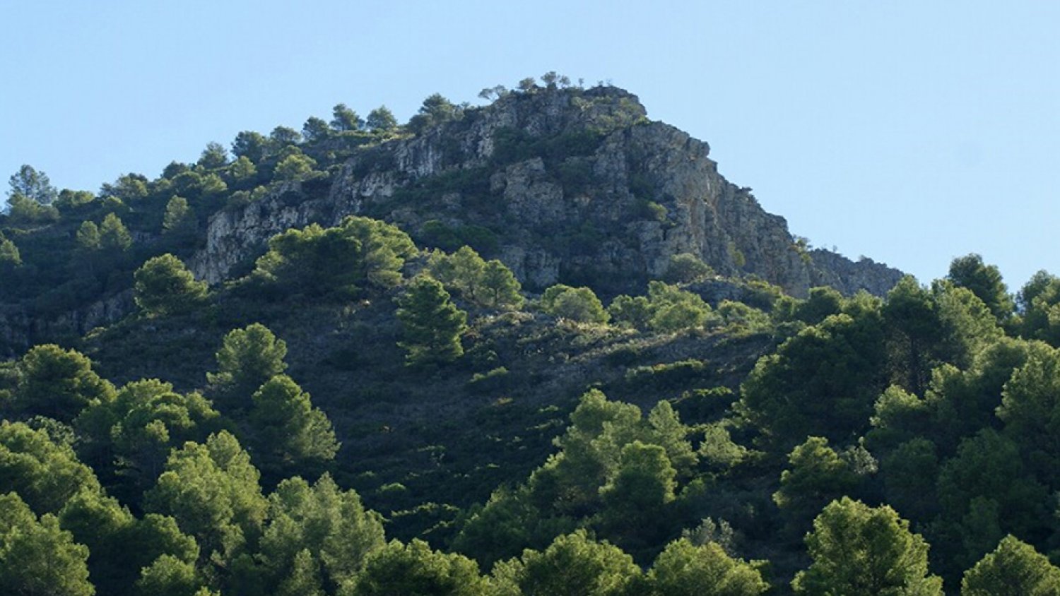 La Junta publica el primer Registro de Montes Públicos de Andalucía