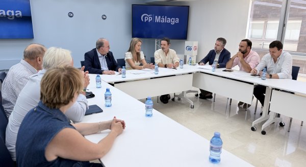 El PP pide al Gobierno una solución inmediata para acabar con los casi 18.000 exámenes de conducir pendientes en Málaga