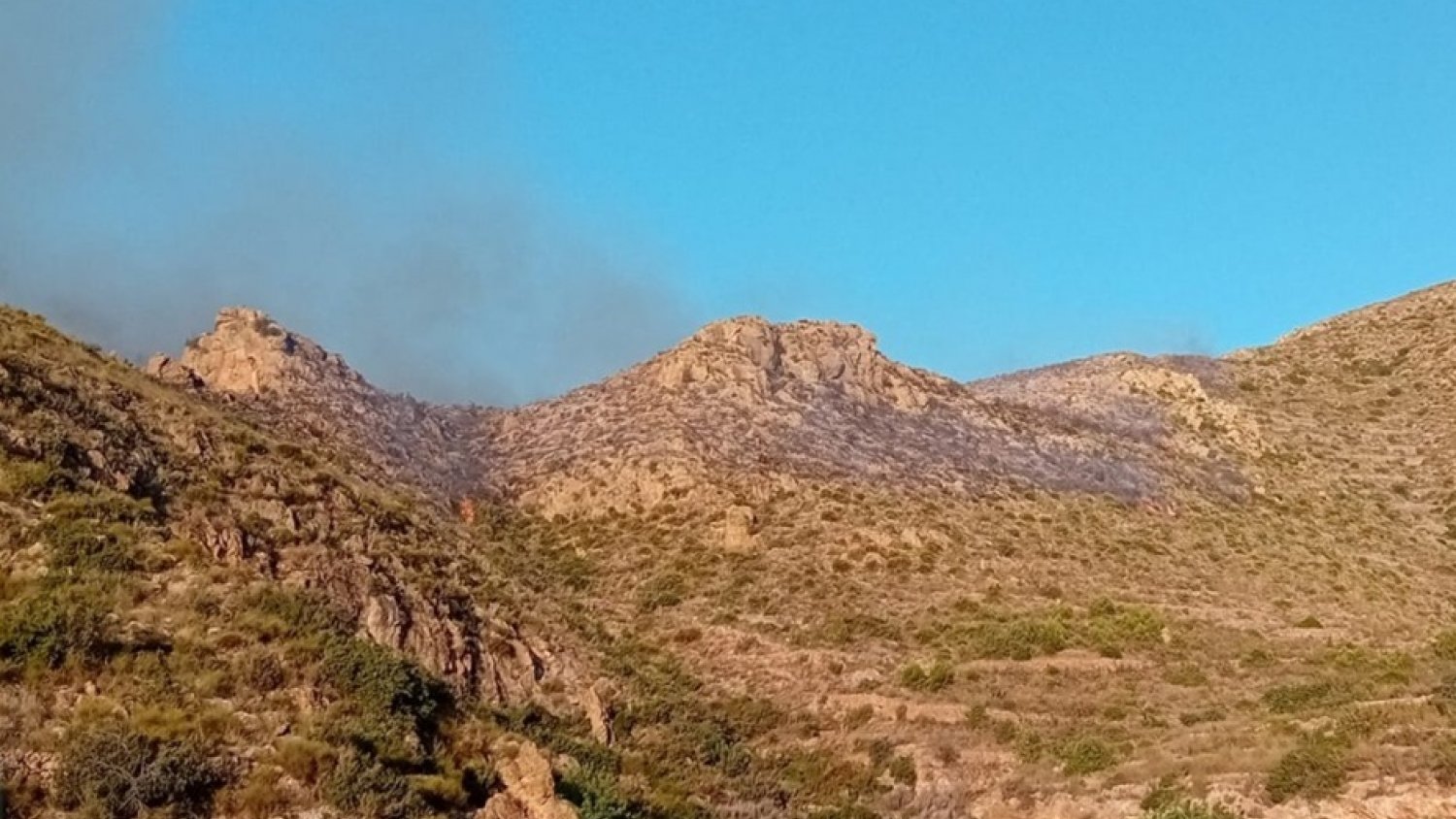 Ascienden a once los fallecidos en el incendio forestal de Los Gallardos