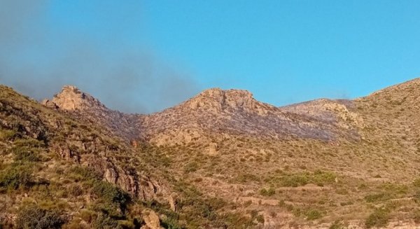 Ascienden a once los fallecidos en el incendio forestal de Los Gallardos