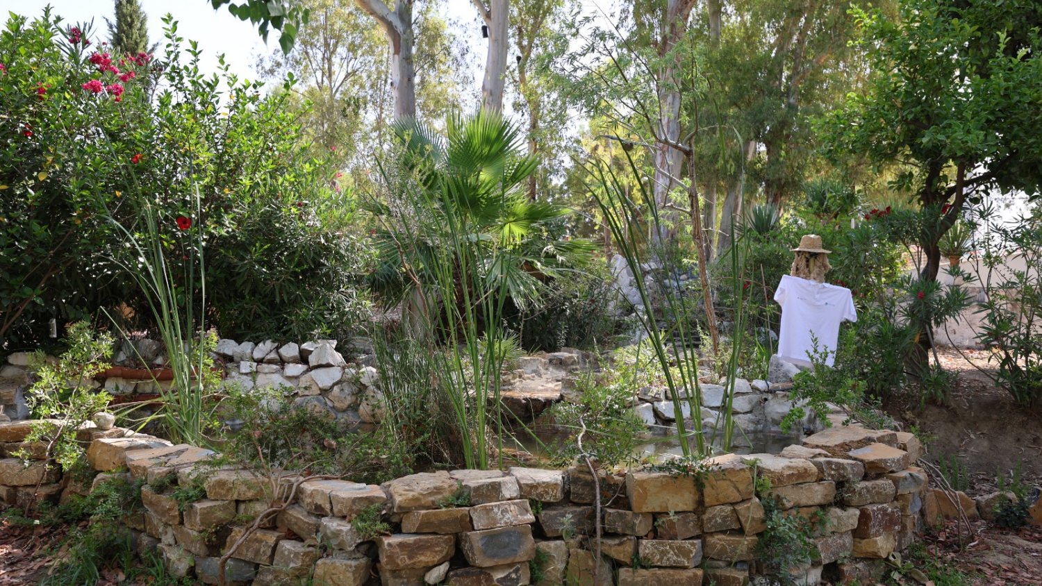 La Noria de la Diputación crea un refugio bioclimático acuapónico en sus jardines