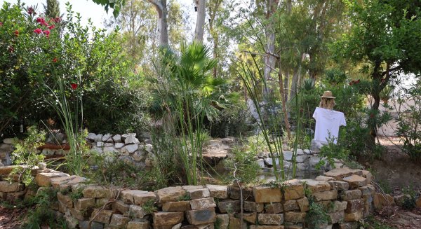 La Noria de la Diputación crea un refugio bioclimático acuapónico en sus jardines