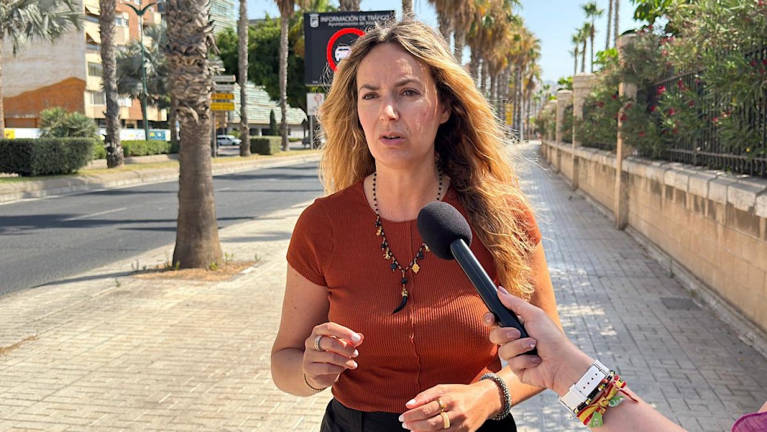 Vox reitera su petición de eliminar la Zona de Bajas Emisiones en Málaga