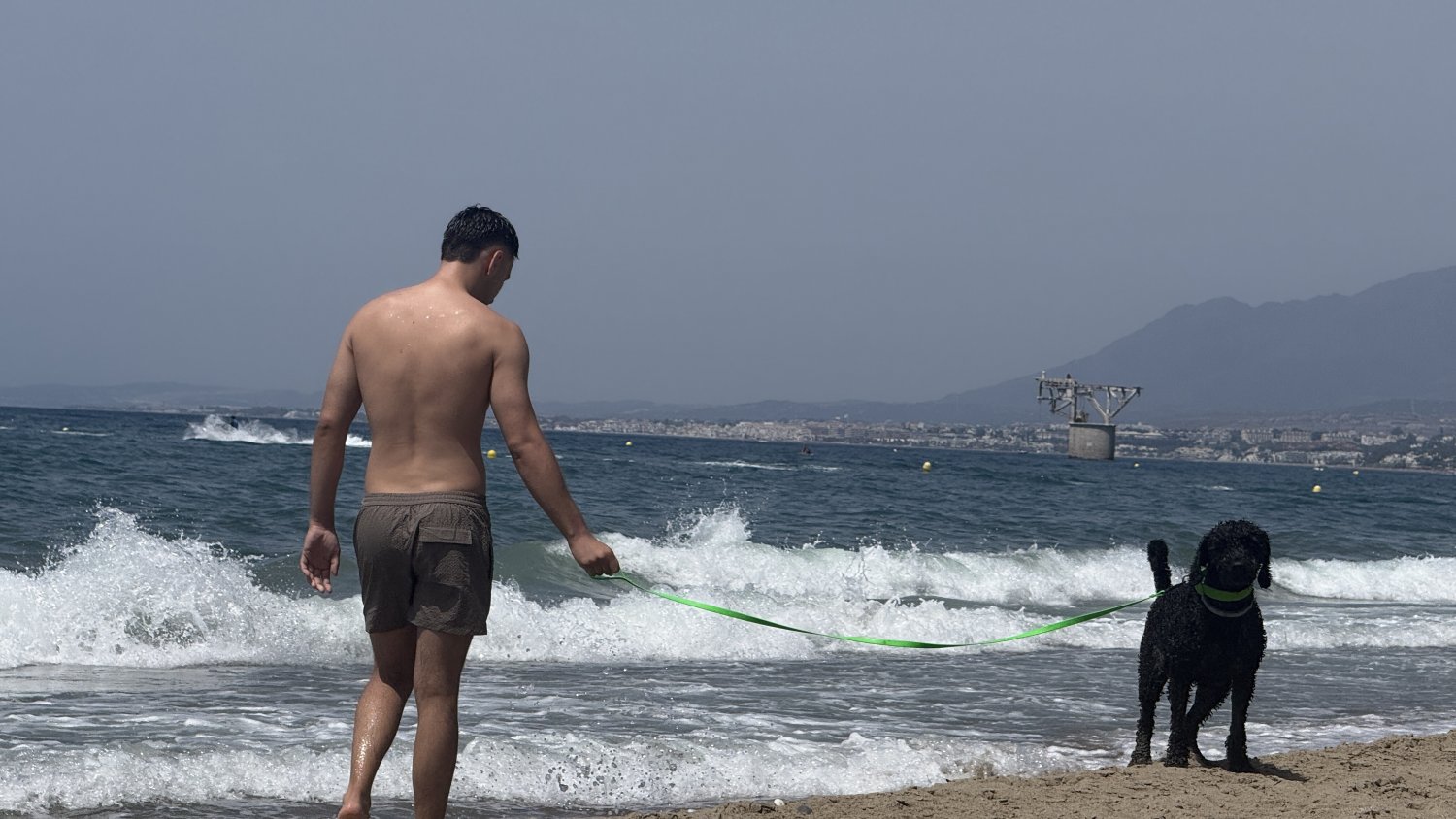 Marbella mantiene las zonas de playa autorizadas para perros durante la temporada de baño