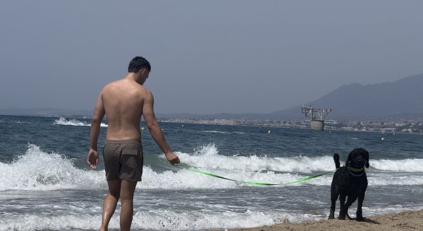 Marbella subraya que la ciudad mantiene espacios habilitados para disfrutar de la playa con mascotas durante la temporada de baño 