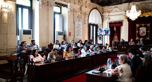 El Pleno de Málaga aprueba limitar la implantación automática del uso de hospedaje compatible con el residencial