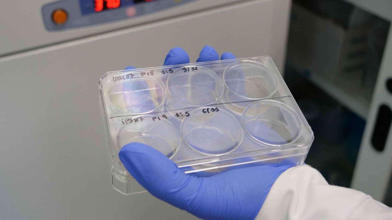 La Universidad de Málaga logra cerca de 10 millones del Plan Nacional para investigación