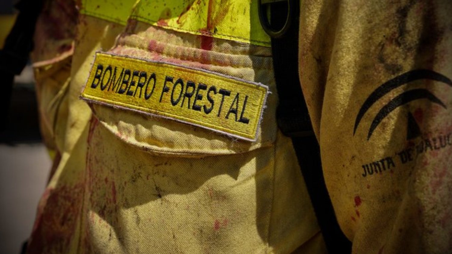 Tres bomberos resultan heridos durante las labores de extinción del incendio en Pujerra