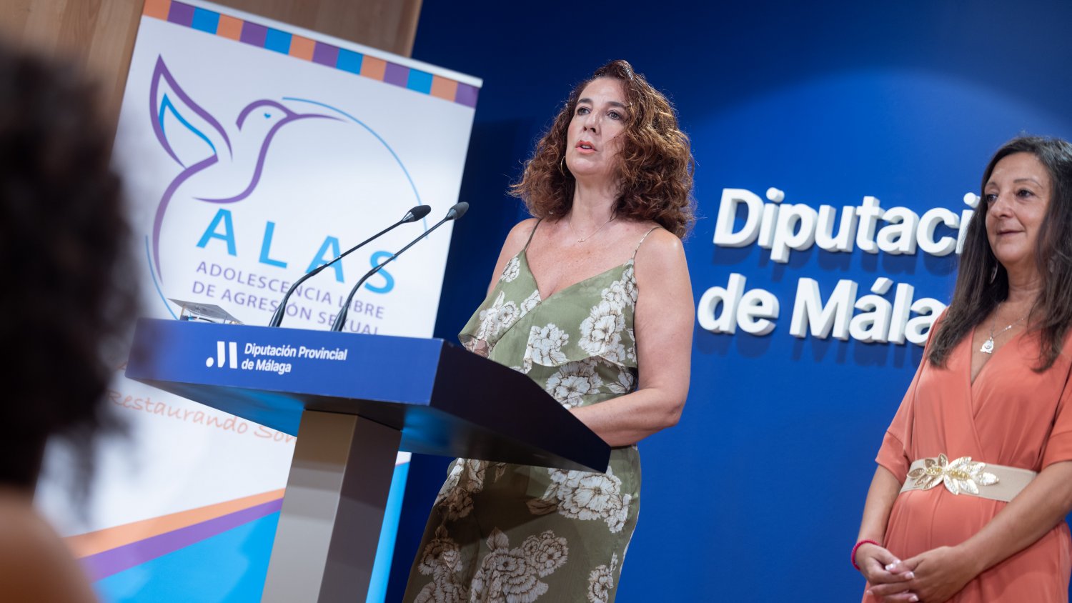 ALAS celebra en la Diputación de Málaga una jornada sobre prevención de la violencia contra la infancia y adolescencia