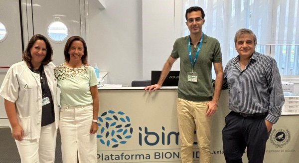 Un bajo índice de fibrosis hepática favorece la remisión de la diabetes tras cirugía de obesidad