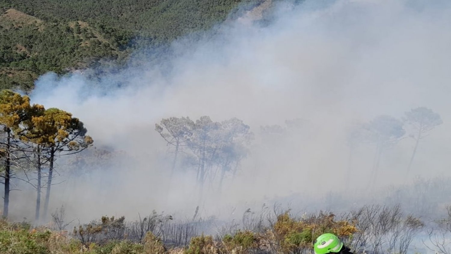 Casi 1.000 efectivos trabajan en labores de extinción y coordinación del incendio de Pujerra