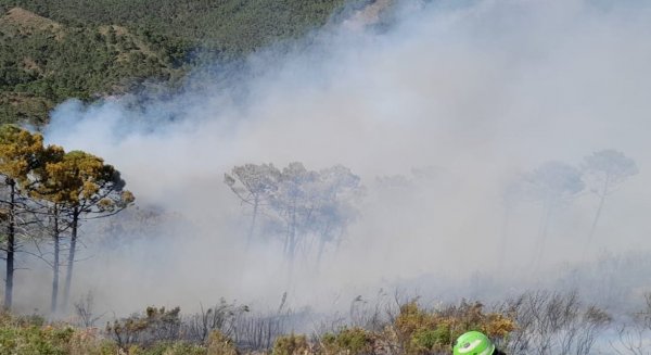 Casi 1.000 efectivos trabajan en labores de extinción y coordinación del incendio de Pujerra