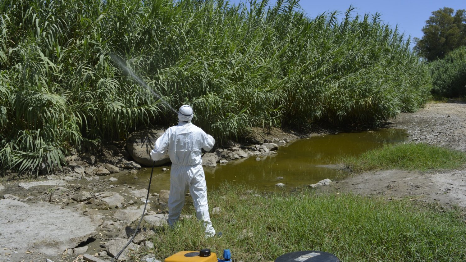 Mijas intensifica su plan de choque preventivo contra el mosquito que puede transmitir el virus del Nilo occidental
