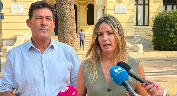 Vox propone priorizar la vivienda protegida para malagueños con mayor arraigo en la ciudad