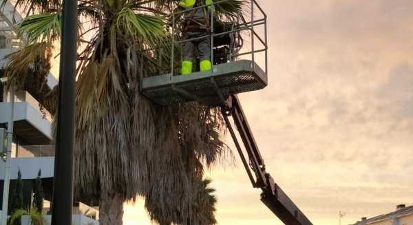 Torremolinos inicia un nuevo modelo de refuerzo para mejorar el mantenimiento de las zonas verdes de toda la ciudad