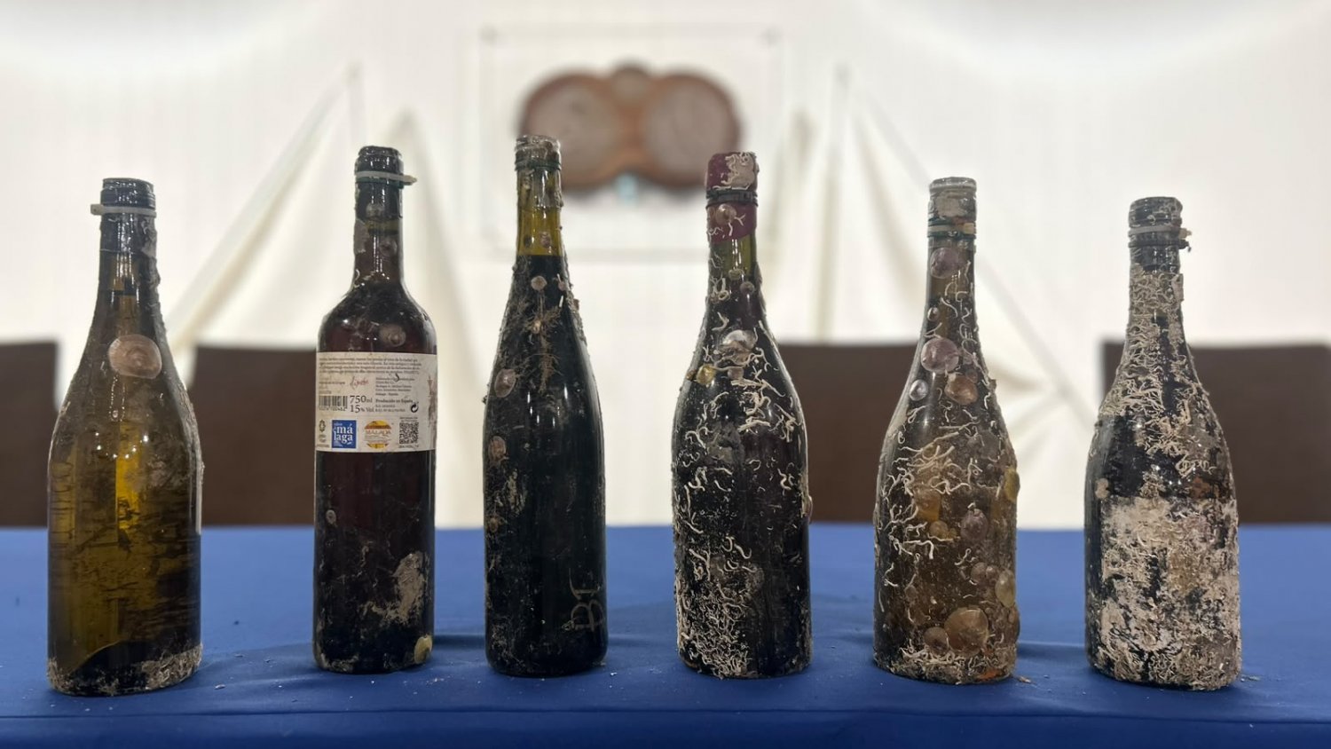 Analizan el efecto del envejecimiento submarino en 160 botellas de seis bodegas de la Axarquía