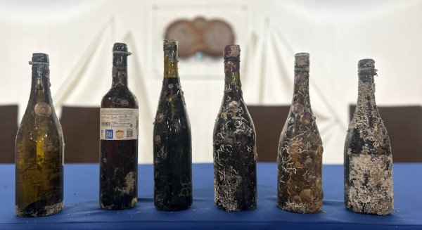 Analizan el efecto del envejecimiento submarino en 160 botellas de seis bodegas de la Axarquía