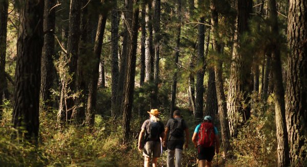 La Diputación impulsa una herramienta para recorrer y planificar los 1.400 kilómetros de senderos de la provincia