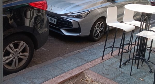 IU critica nuevas talas en Marbella y solicita una red municipal de refugios climáticos