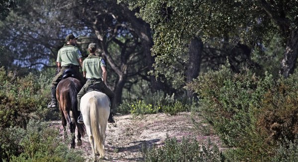 Andalucía fomenta la mayor modernización de su legislación ambiental del siglo XXI 