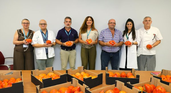 El Hospital Regional de Málaga ofrece tomate Huevo de Toro a más de 600 pacientes