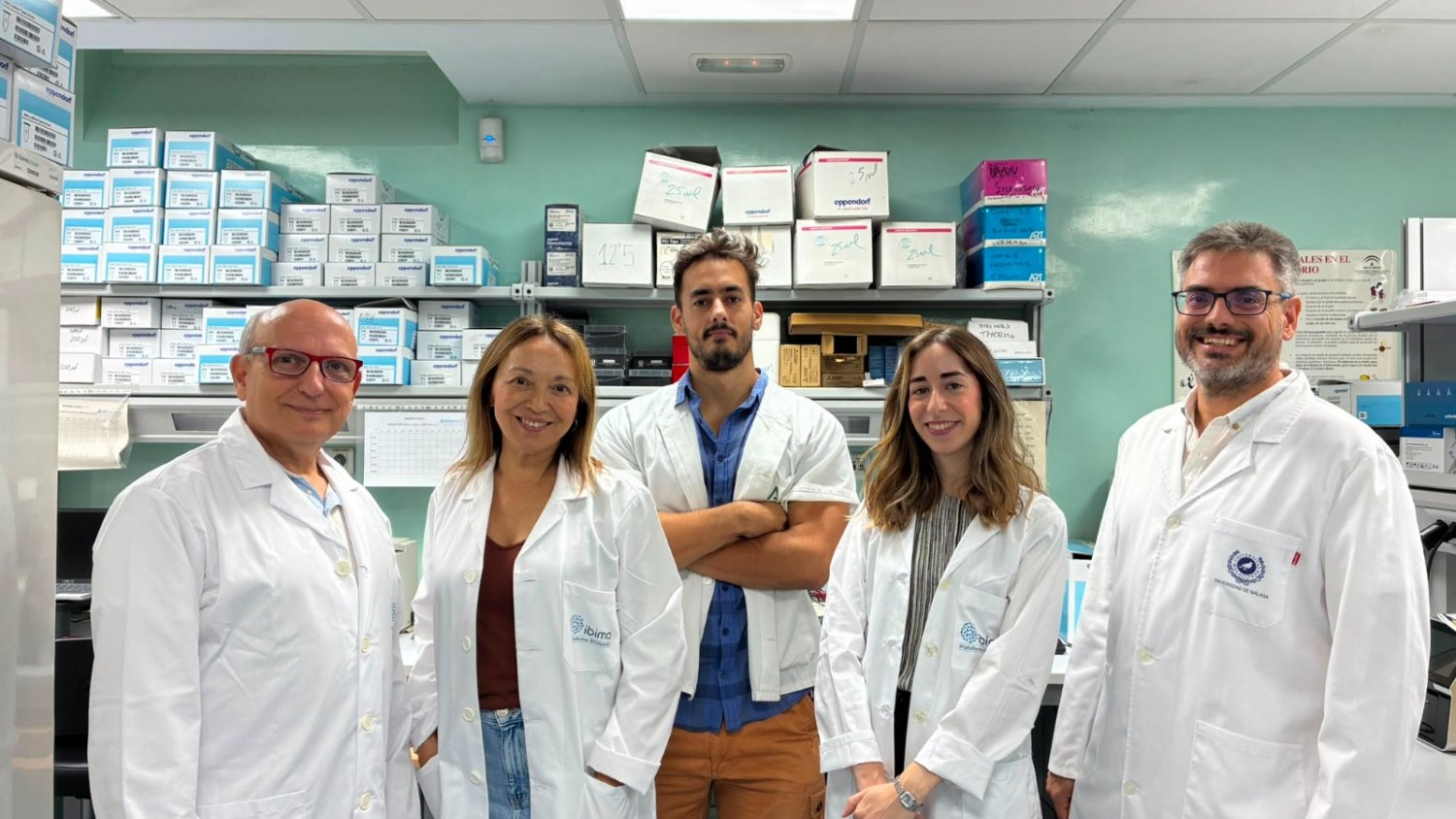 Descubren un compuesto natural con potencial para mejorar la memoria en el alzhéimer