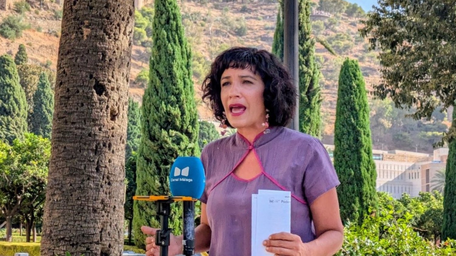 Morillas solicita transparencia al PP y que haga públicos todos los informes sobre la tala del ficus de La Paz
