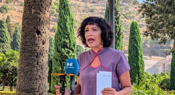 Morillas solicita transparencia al PP y que haga públicos todos los informes sobre la tala del ficus de La Paz