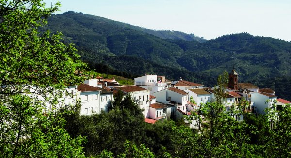 Diputación abre el plazo para solicitar ayudas a los afectados por el incendio de Sierra Bermeja