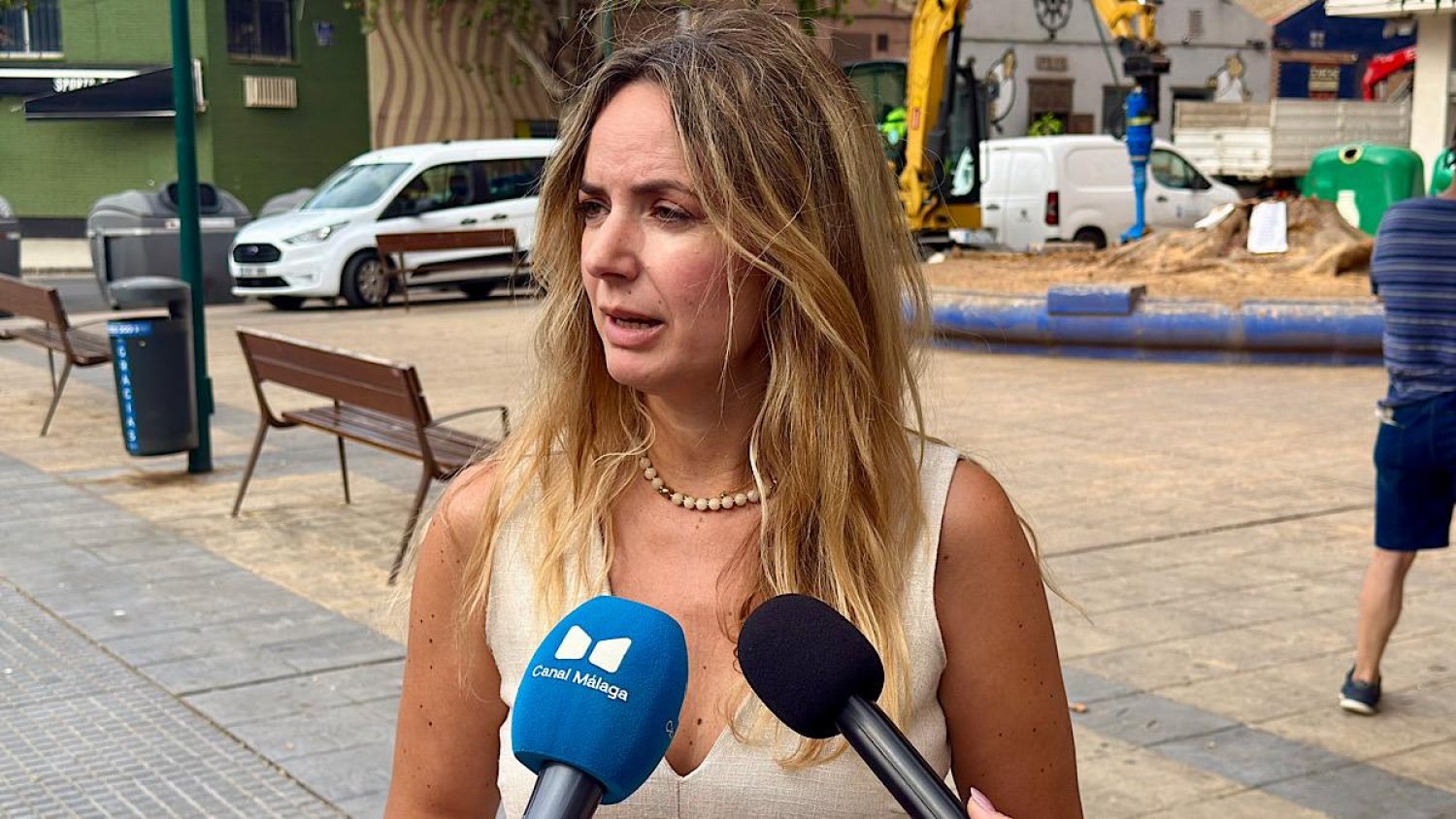 Vox pide una auditoría extraordinaria del arbolado tras cuatro caídas en ocho días y reclama responsabilidades al PP