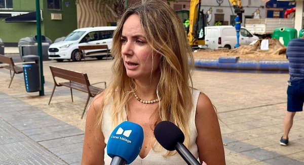 Vox pide una auditoría extraordinaria del arbolado tras cuatro caídas en ocho días y reclama responsabilidades al PP
