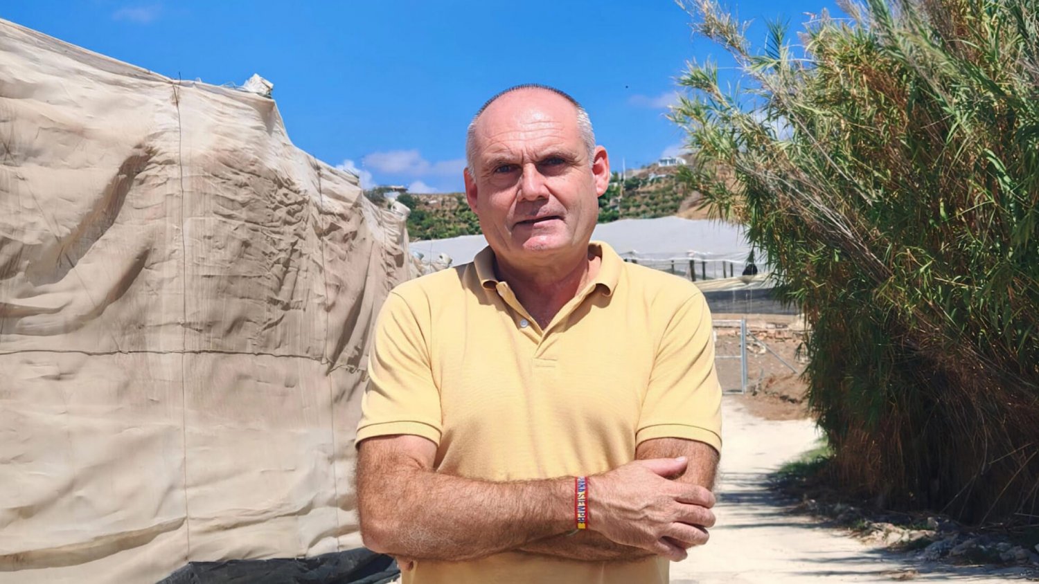 VOX pide explicaciones en Torrox ante los avisos vecinales por la presencia del avispón oriental