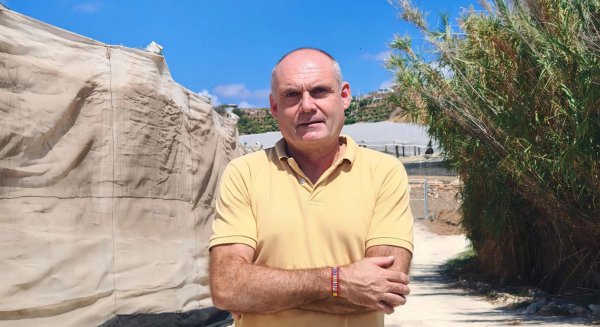 VOX pide explicaciones en Torrox ante los avisos vecinales por la presencia del avispón oriental